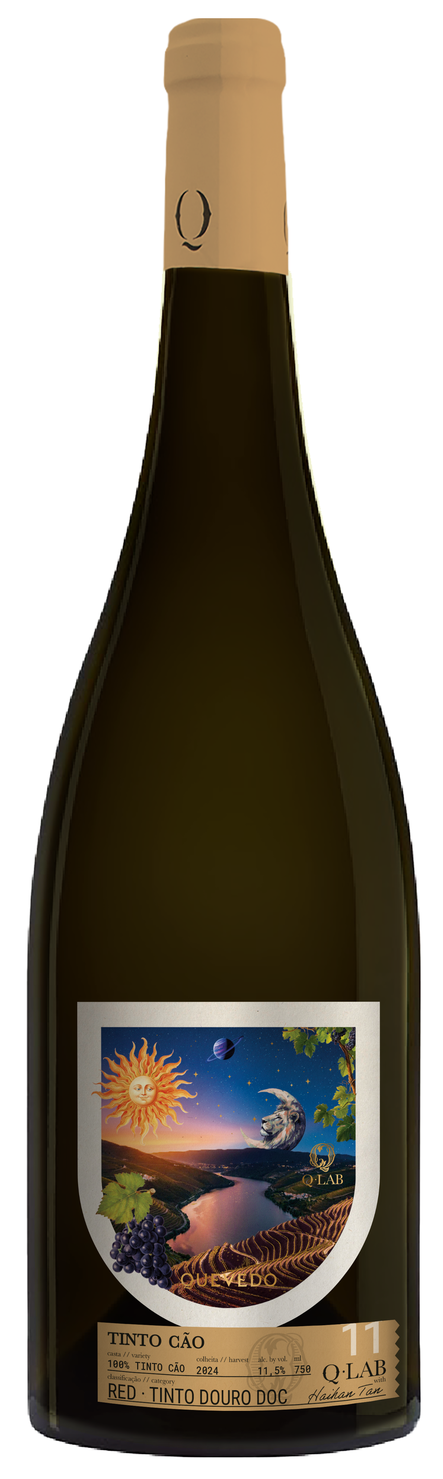 qlabMU_01_tcao2024F (1) (1)